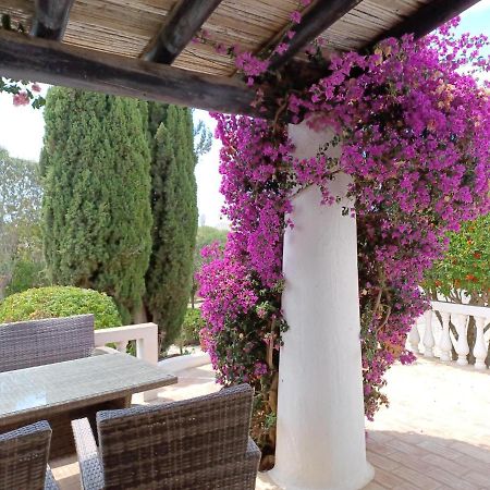 Quinta Do Paraiso - Casa Colynda Carvoeiro  Dış mekan fotoğraf